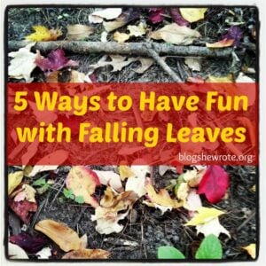 Bridgeway-homeschool-leaves-8