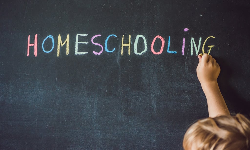 How Does Homeschooling Work: Part I