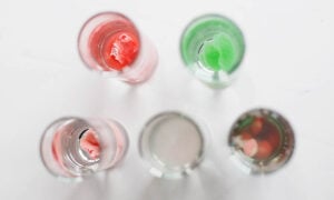 Candy Science Experiments, Candy Science Experiments You Can Do At Home