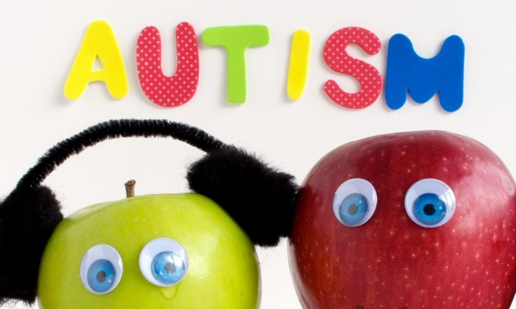 Homeschooling a Child with Autism Spectrum Disorder