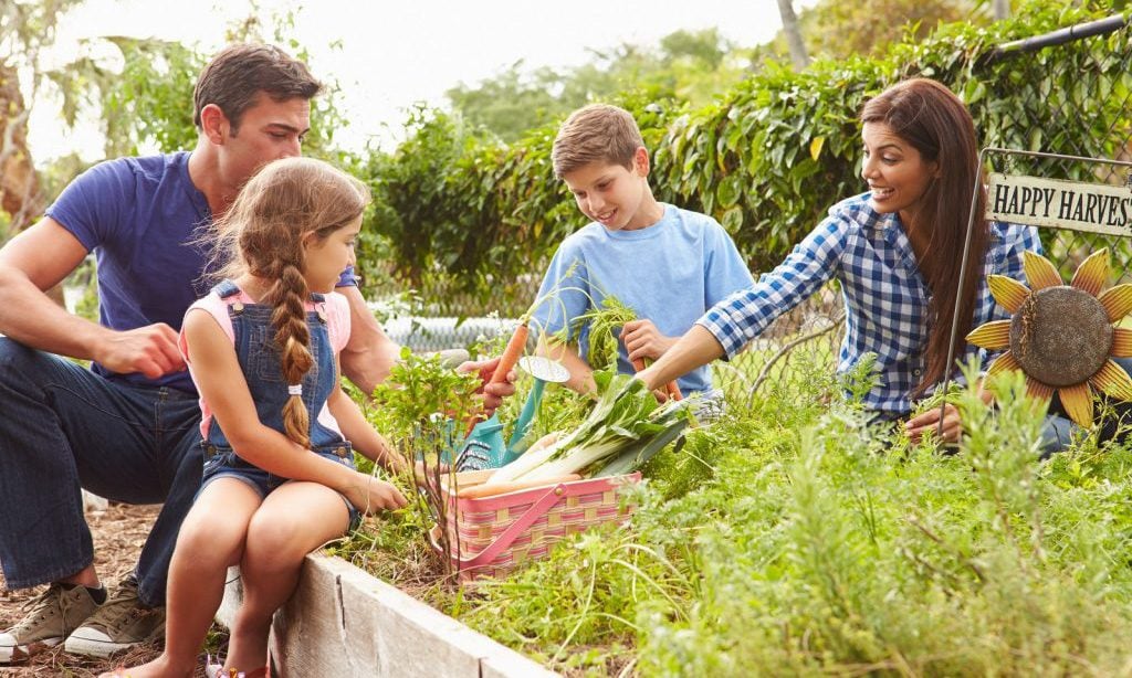 Fun Outdoor Spring Lesson Plans for Homeschoolers