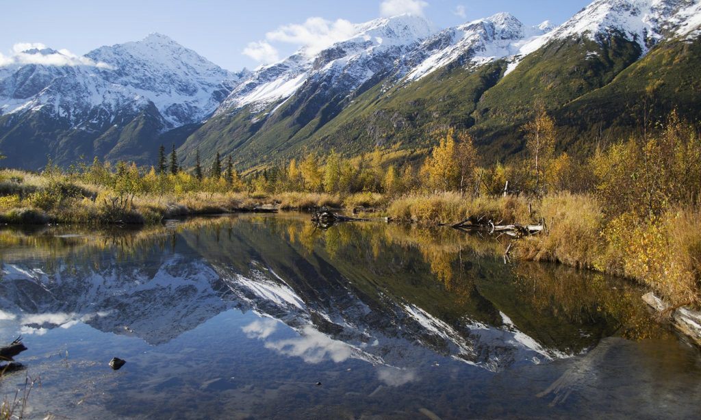 Top 10 Summer Adventures for Alaska Homeschoolers