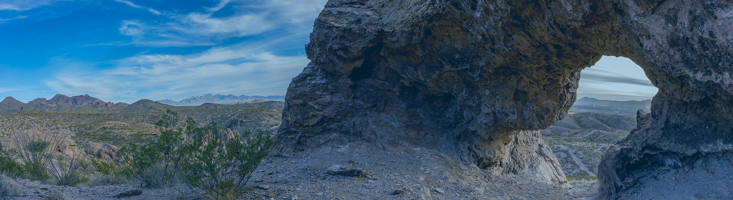 New Mexico Homeschool Laws Understand Your Rights!