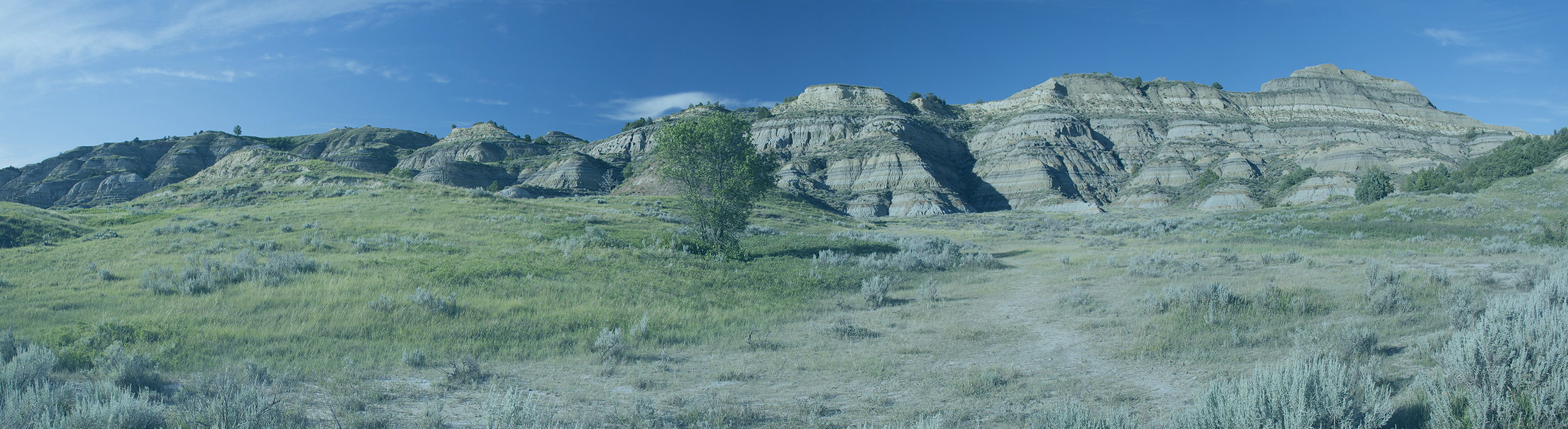 North Dakota Homeschool Laws Understand Your Rights!