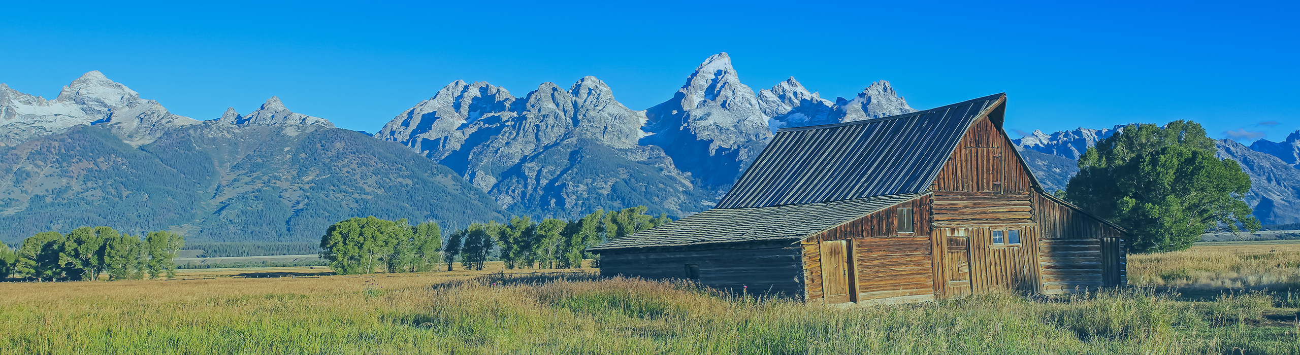 Wyoming Homeschool Laws Understand Your Rights!