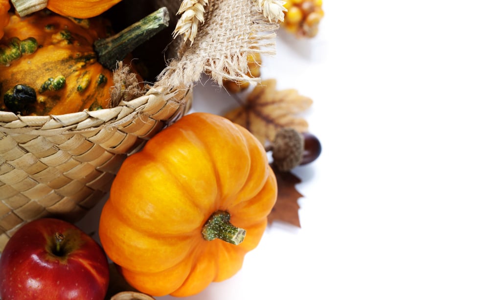 5 Meaningful Thanksgiving Traditions for Homeschoolers