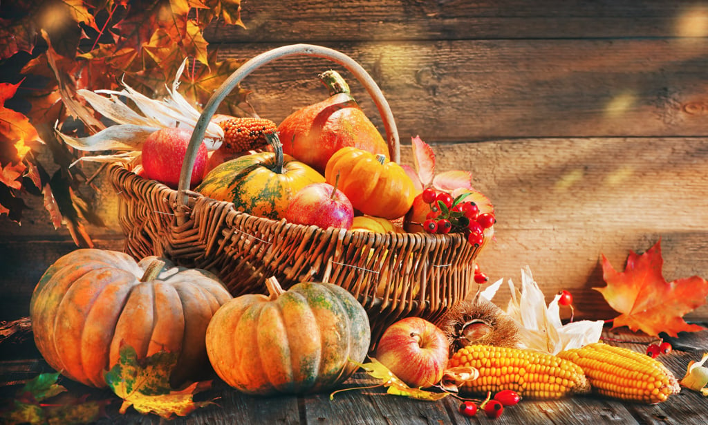 Homeschool Tips & Activities for Harvest Season