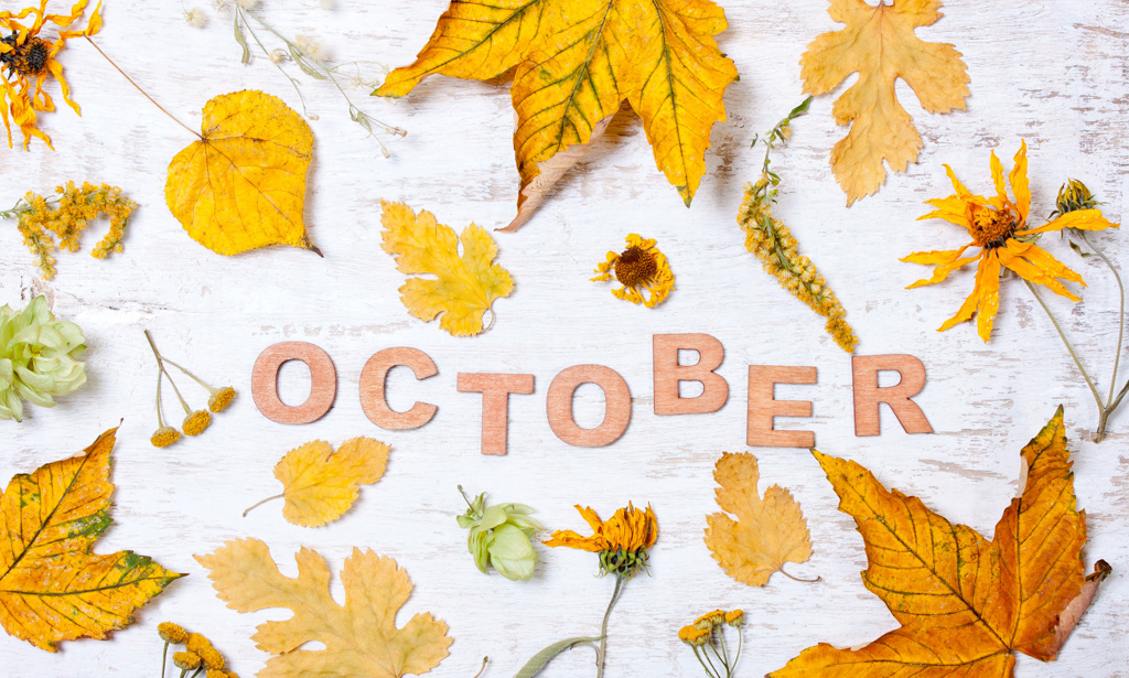 October’s Tips and Tools for Homeschoolers
