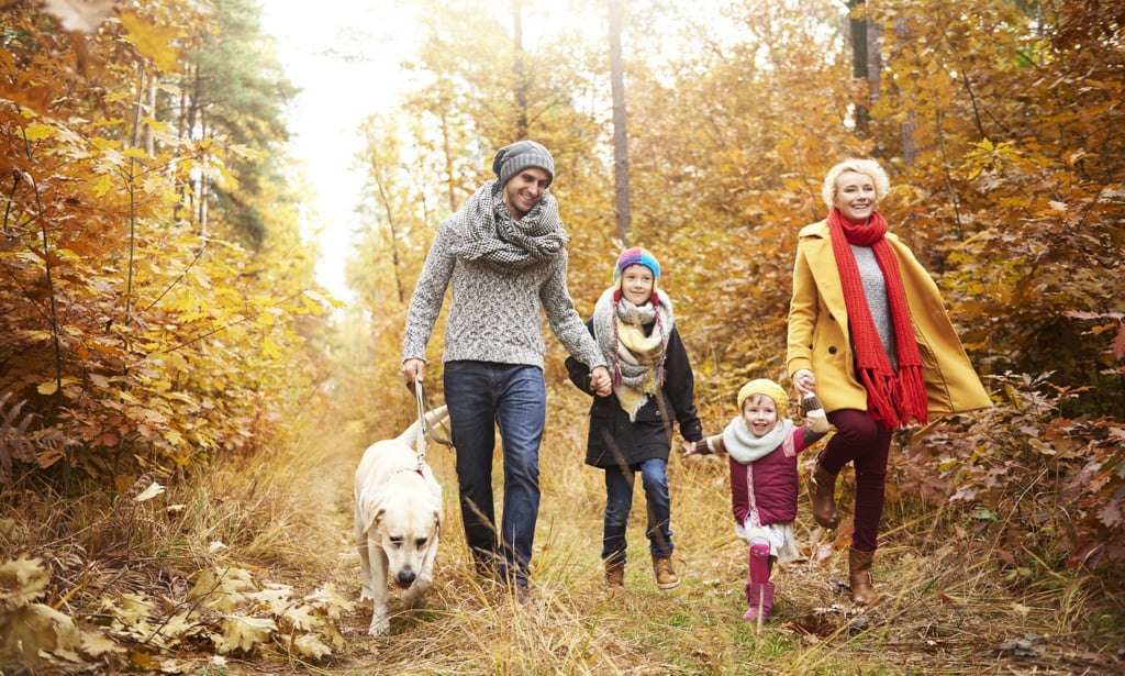 8 Educational Fall Activities for Your Kids