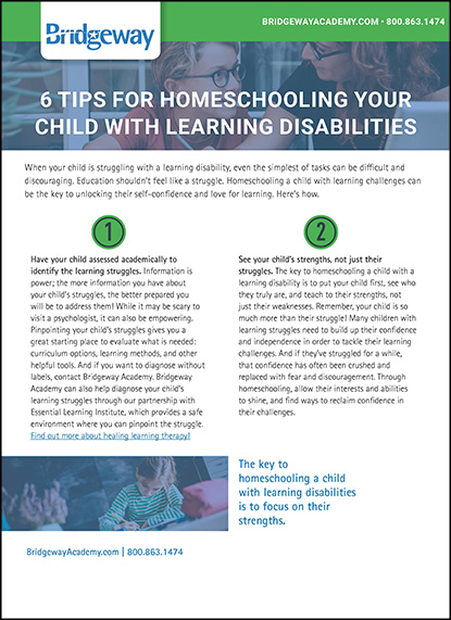 homeschooling child with learning disability, 6 Tips for Homeschooling Your Child With Learning Disabilities