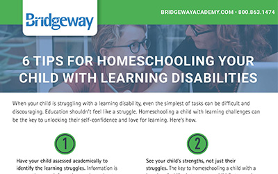 6 Tips for Homeschooling Your Child With Learning Disabilities