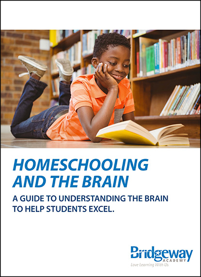 , Homeschooling and the Brain
