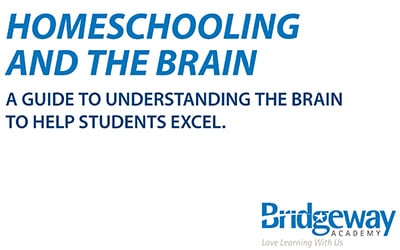 Homeschooling and the Brain