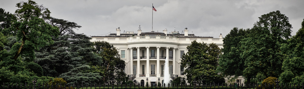 The back lawn of the White House with its trees and fountain.