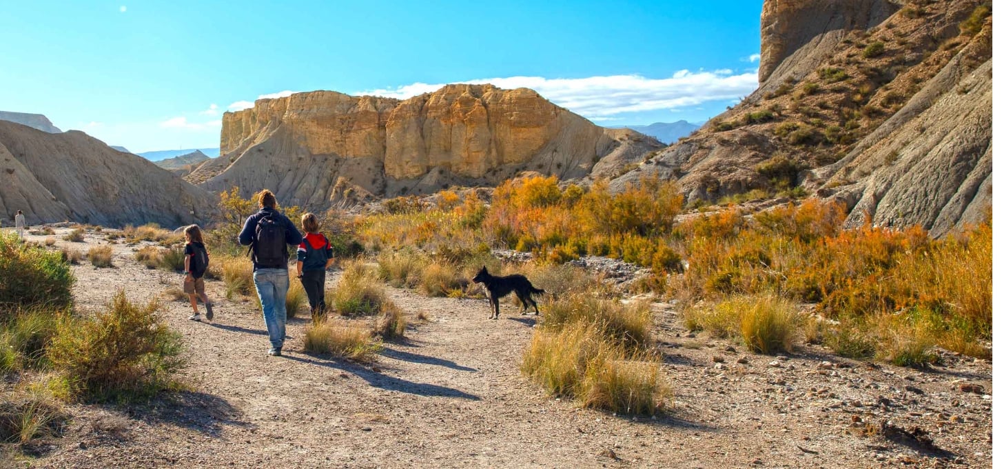 A family hiking with their dog in a beautiful landscape