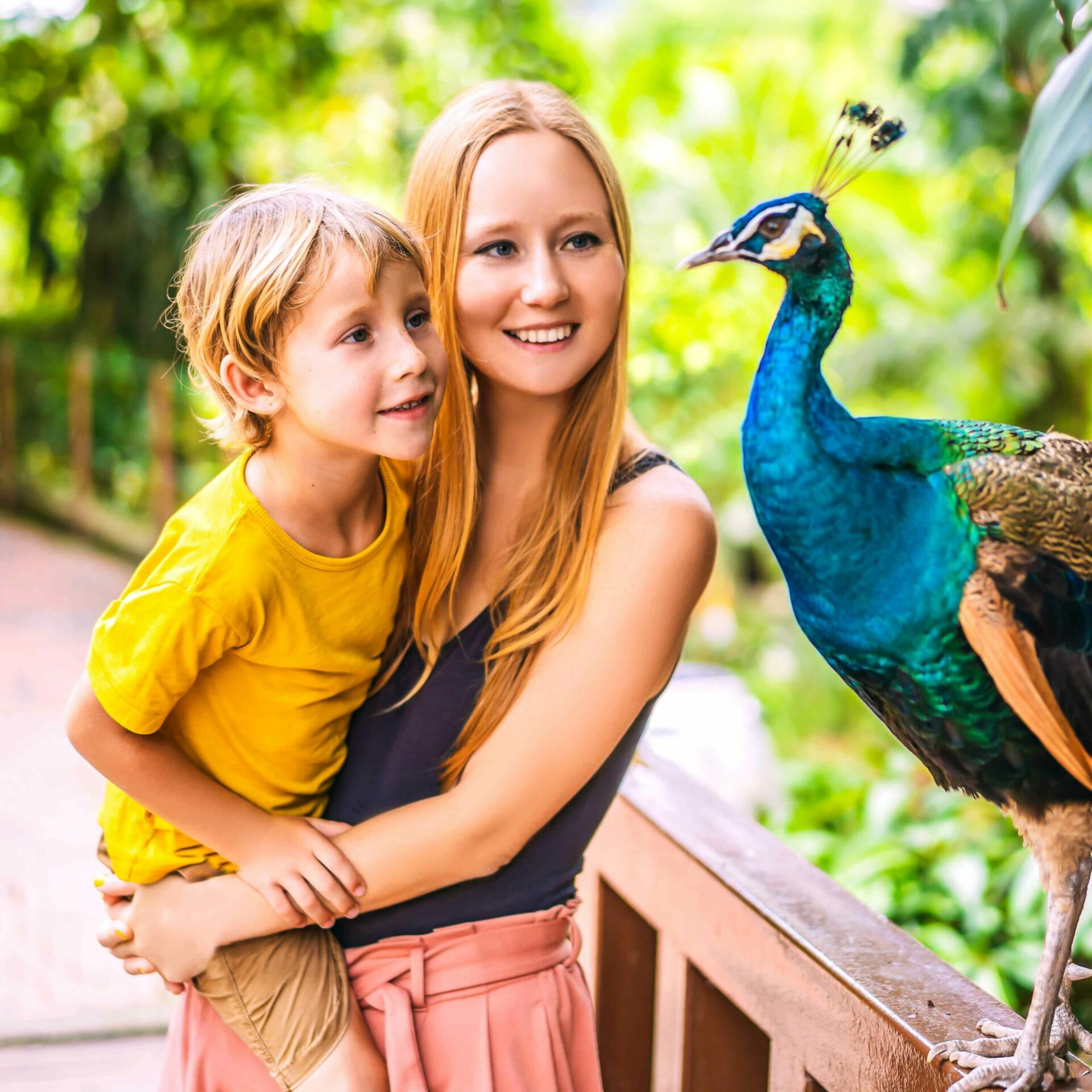 mother and son looking at a peacock
