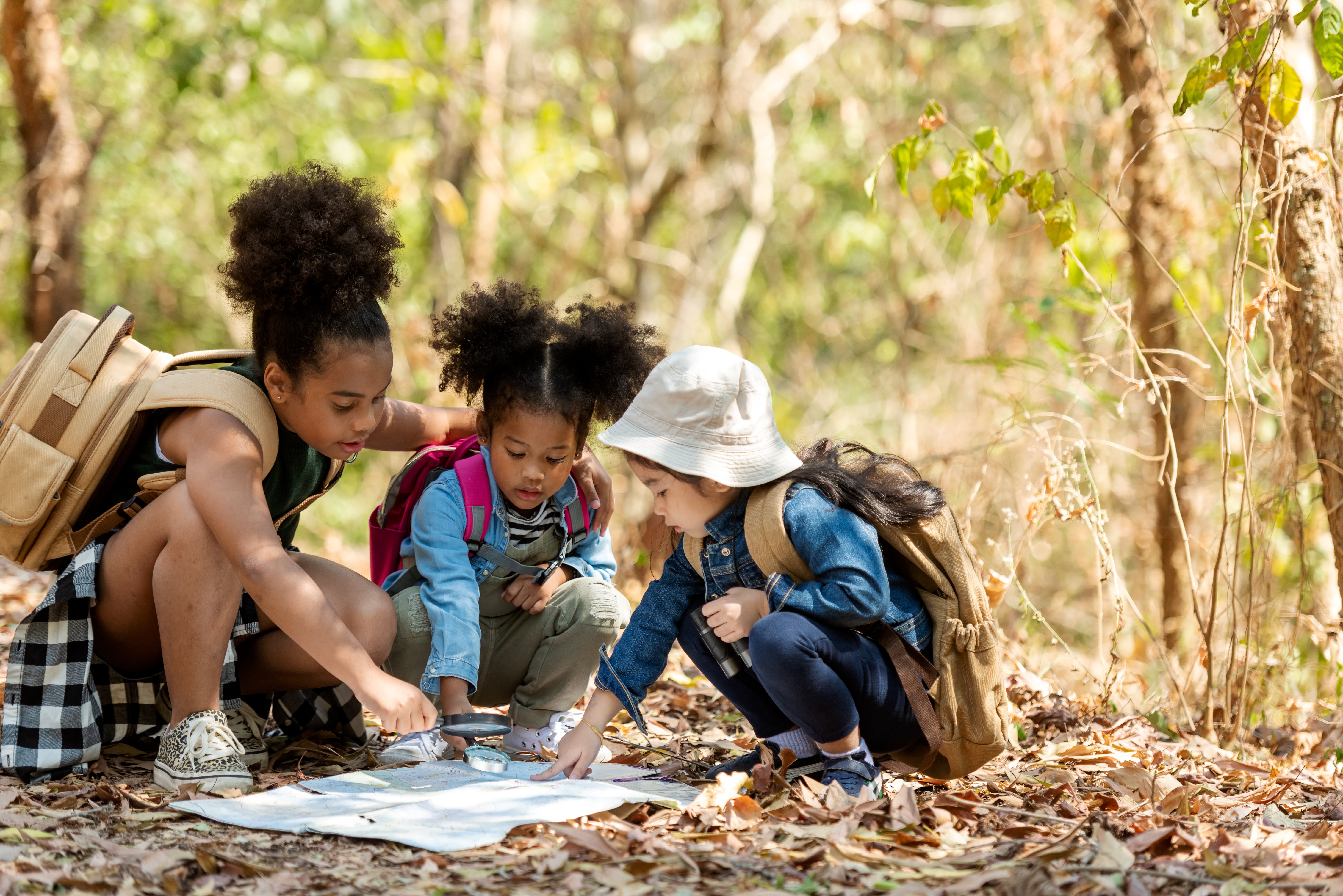 Group family children checking map for explore and find directions in the camping jungle nature and adventure. Tourism kids travel for destination and leisure trips for education and relax in nature park.  Travel Concept