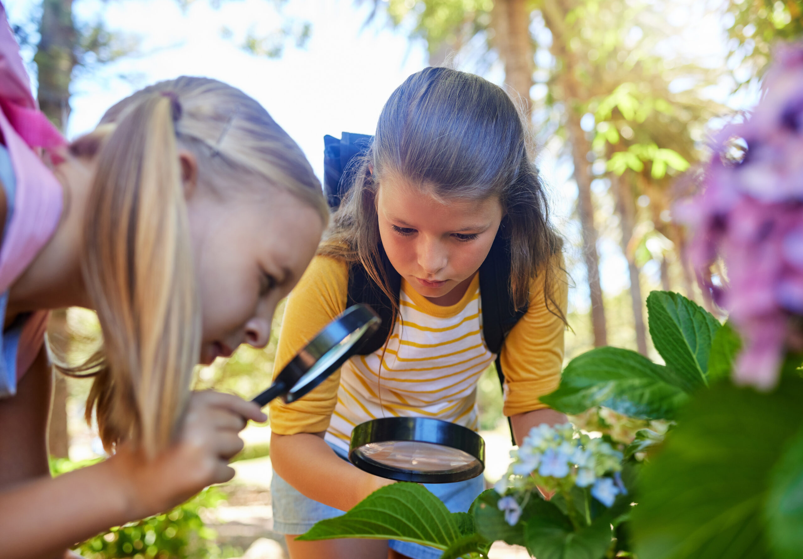 Learning, magnifying glass and girls with leaf outdoor for looking at plants together. Education, children and magnifier lens to look at flowers exploring nature, forest or garden on school trip