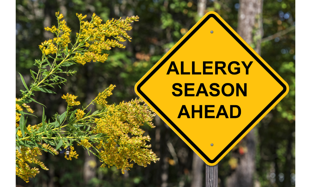 Today’s Lesson Is… The Science of Spring Allergies